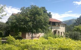 Casale degli ulivi